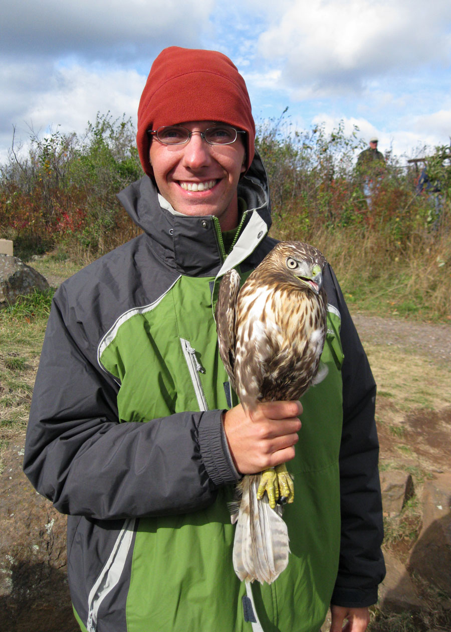Im holding a juvenile rufous-morph Red-tailed Hawk