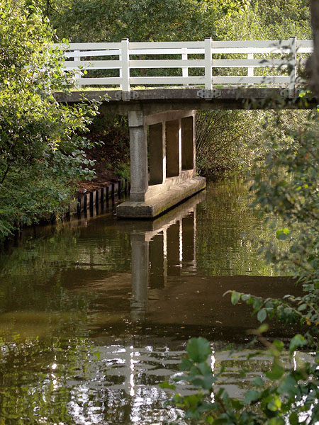 Bridge