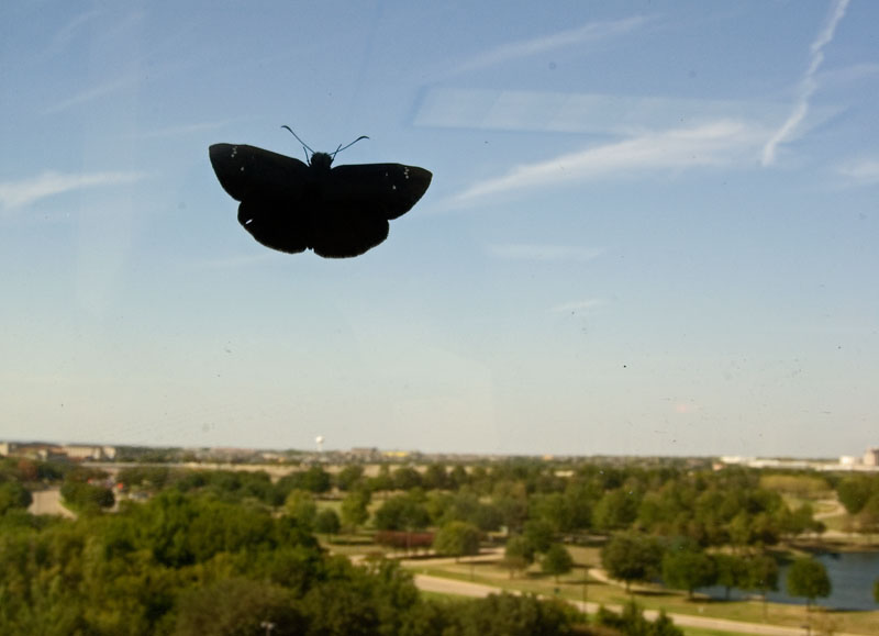 Outside Visitor