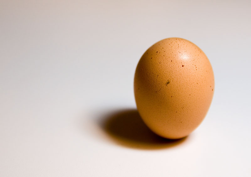 Happy Equinox!
