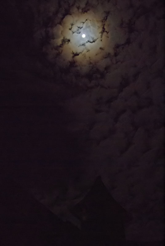 Moon Ring