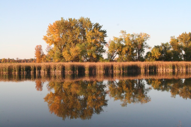 Reflections