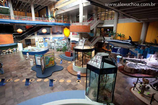 Museu de Ciencia e Tecnologia, PUC RS,  Porto Alegre, Rio Grande do Sul, 2010-03-21 7269.jpg