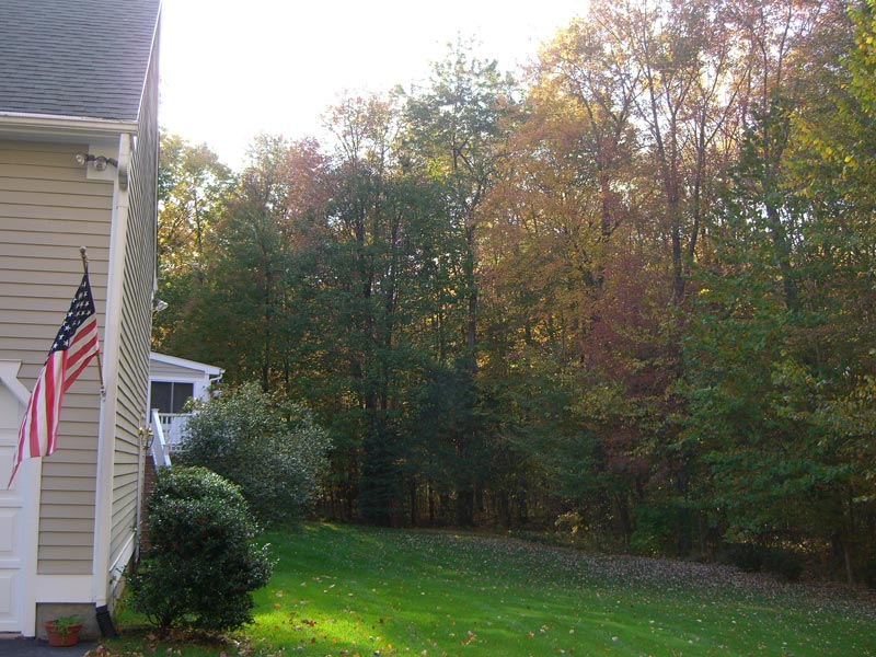 26HiddenOak_backyard.jpg