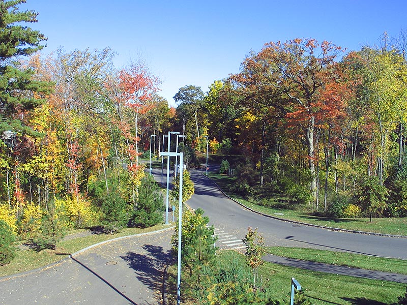 office_view_oct06.jpg