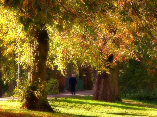 Refreshing walk