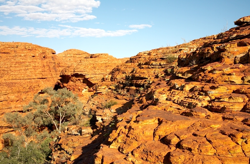 Kings Canyon