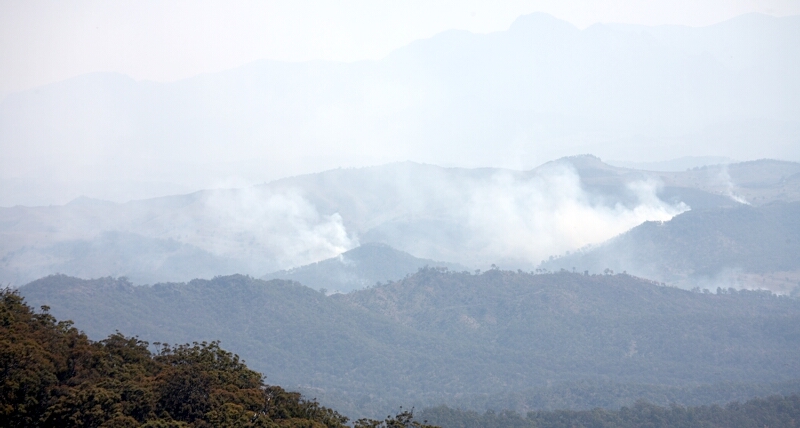 Forest Fires