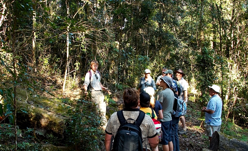 Rainforest Walk