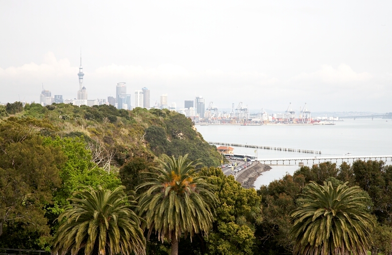 View from Mount Eden