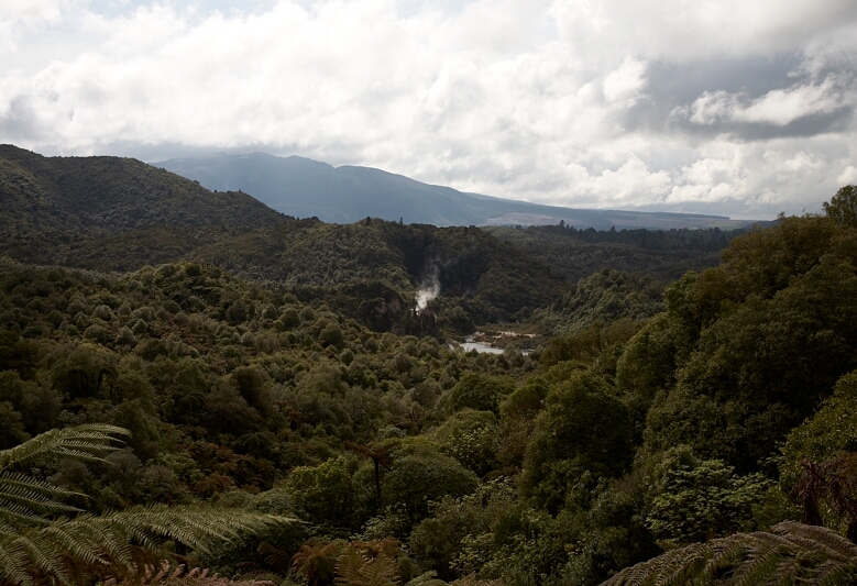 Waimangu Volcanic Valley