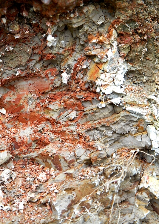 Minerals in the hillside