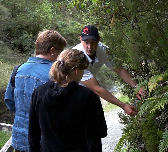 Trent explains the vegetation