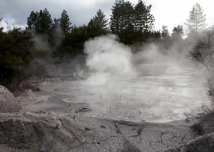 Hot spring in town