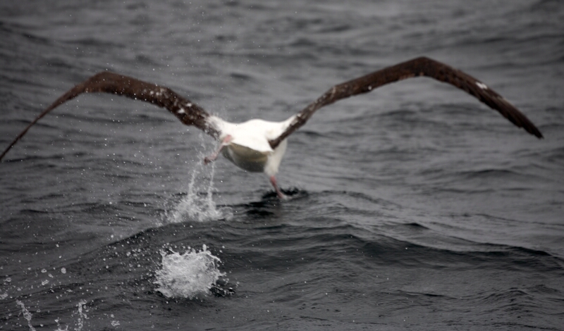 Taking off