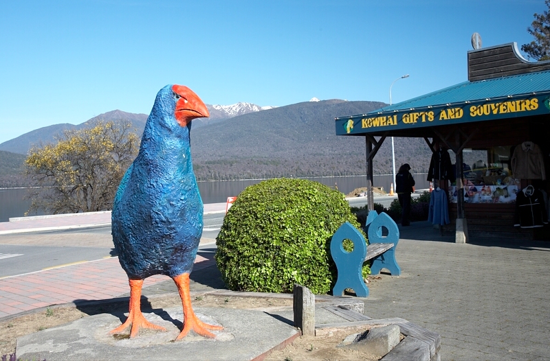 Te Anau rest stop