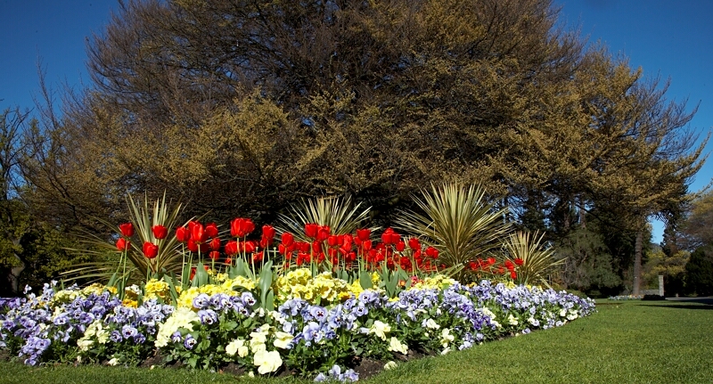 Botanical garden
