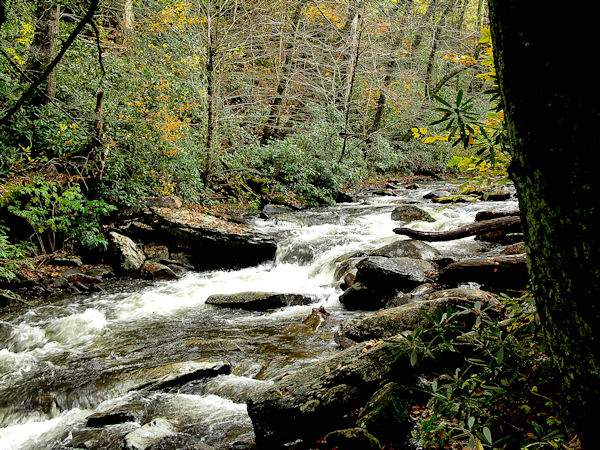River in the Great Smoky Mountains.jpg