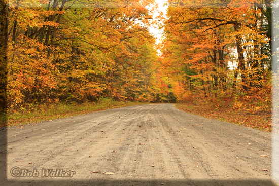 Rural North Country Road