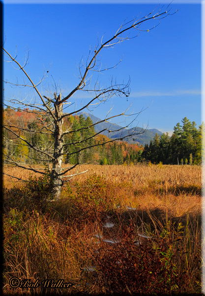 A Scenic Mountain Areas View