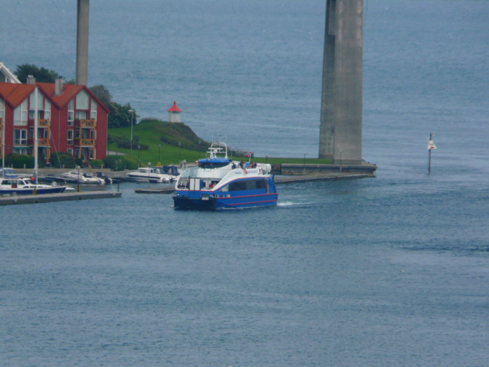 RODNE - RYGERKONGEN