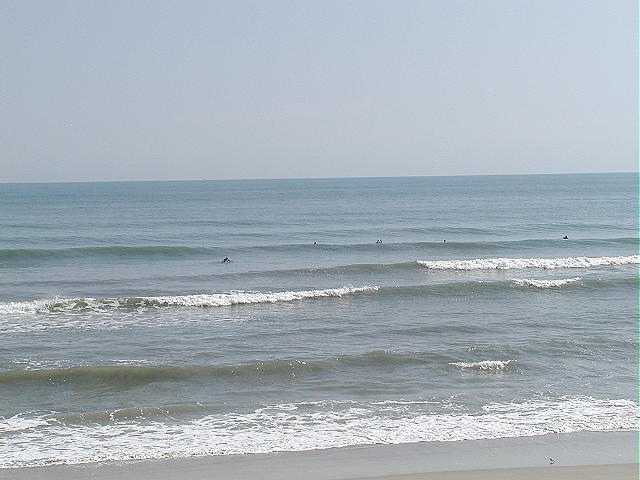PA190076 2.JPG