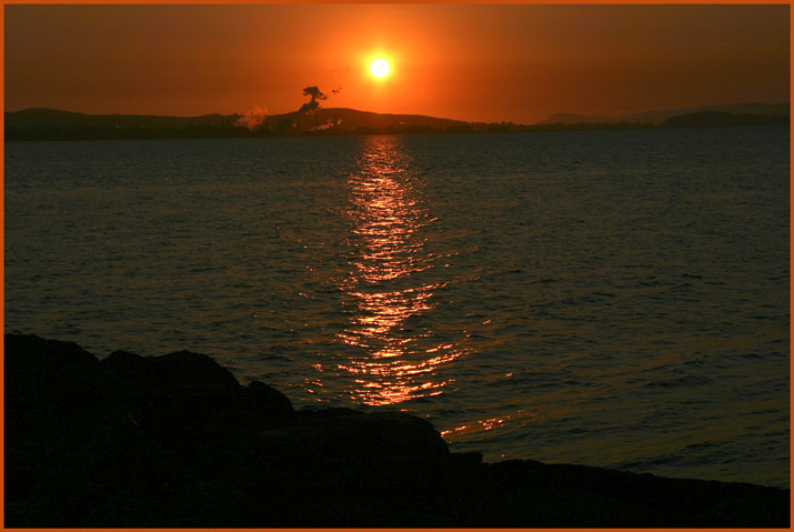 Padilla Bay Sunset