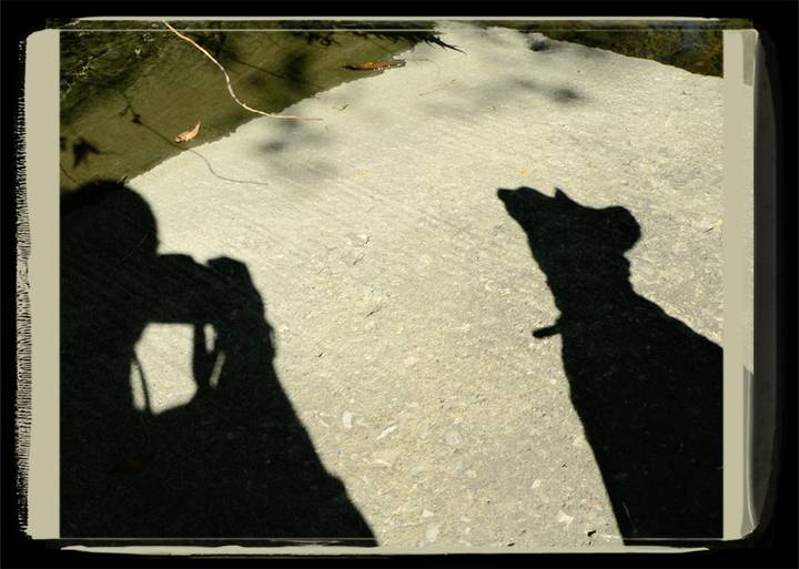 Shadows in the Shadows