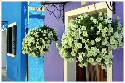 flowers_door