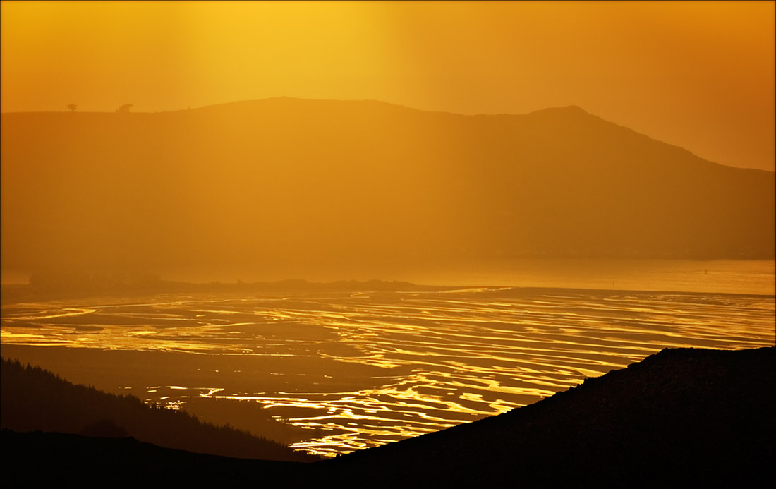 Aramoana Saltmarsh