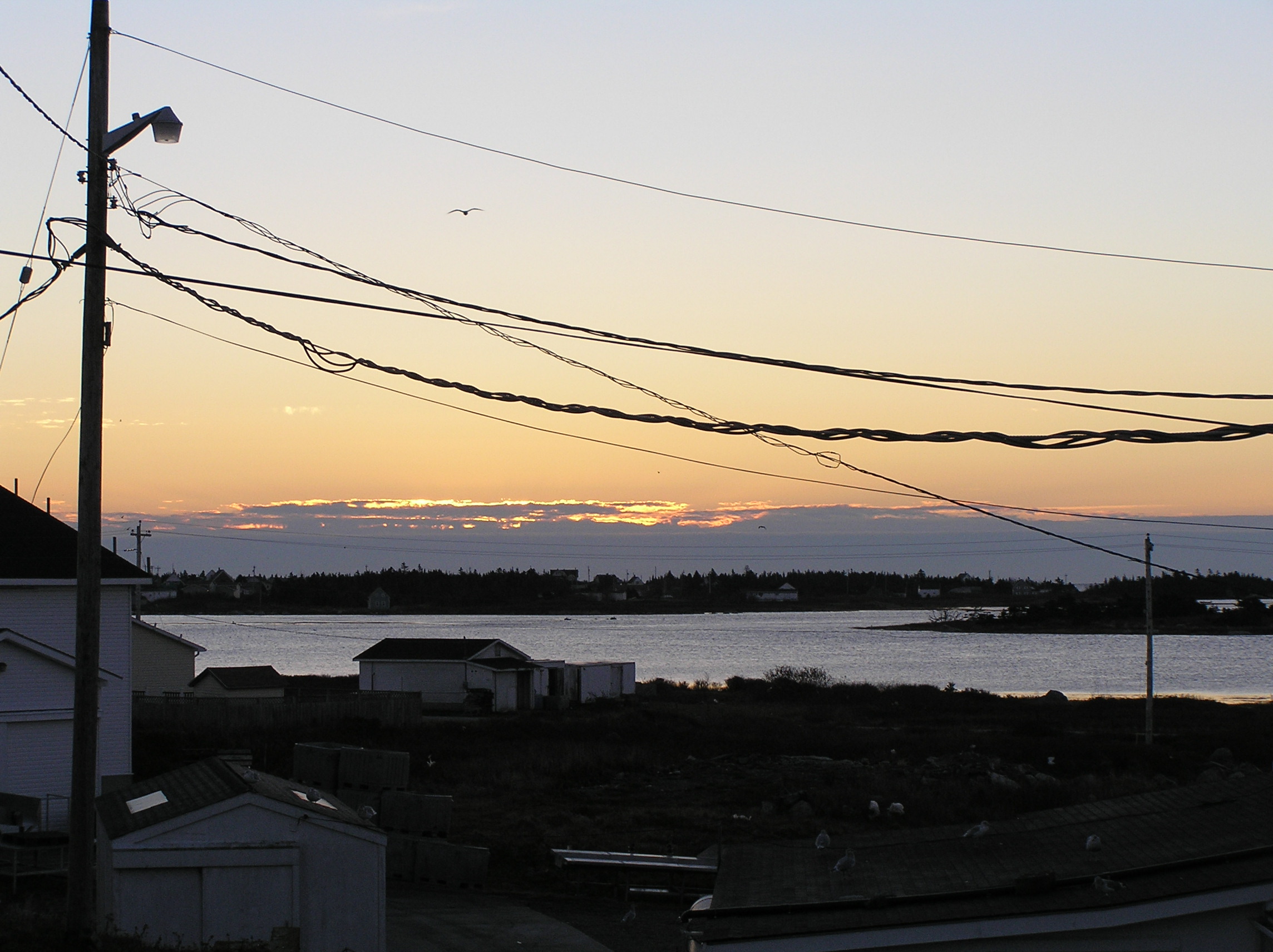 P1010127.JPG