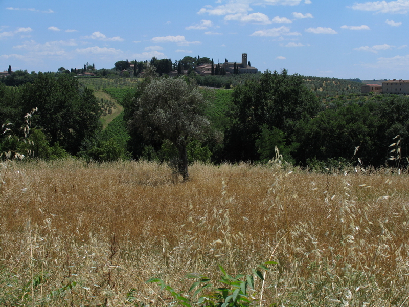 Scenic Toscany