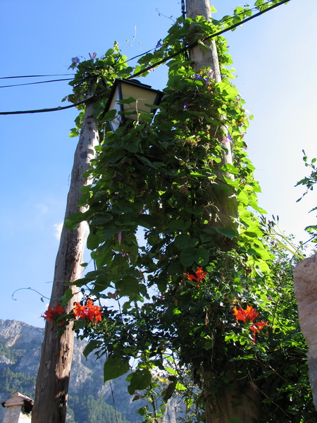 Scenic electrical joint