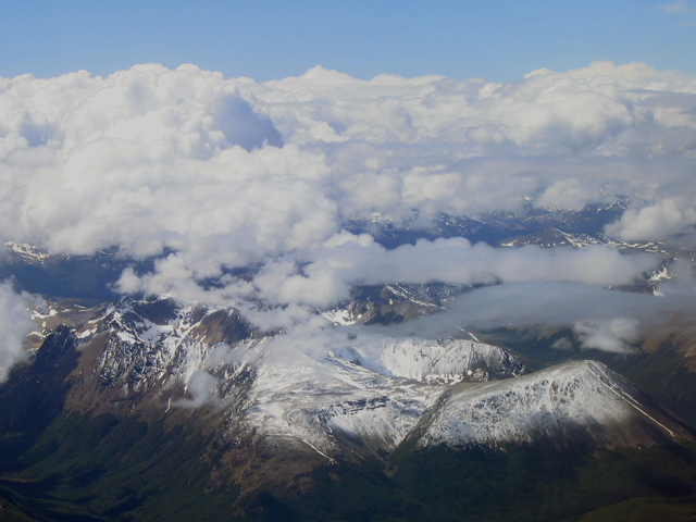 IMG_1354.jpg