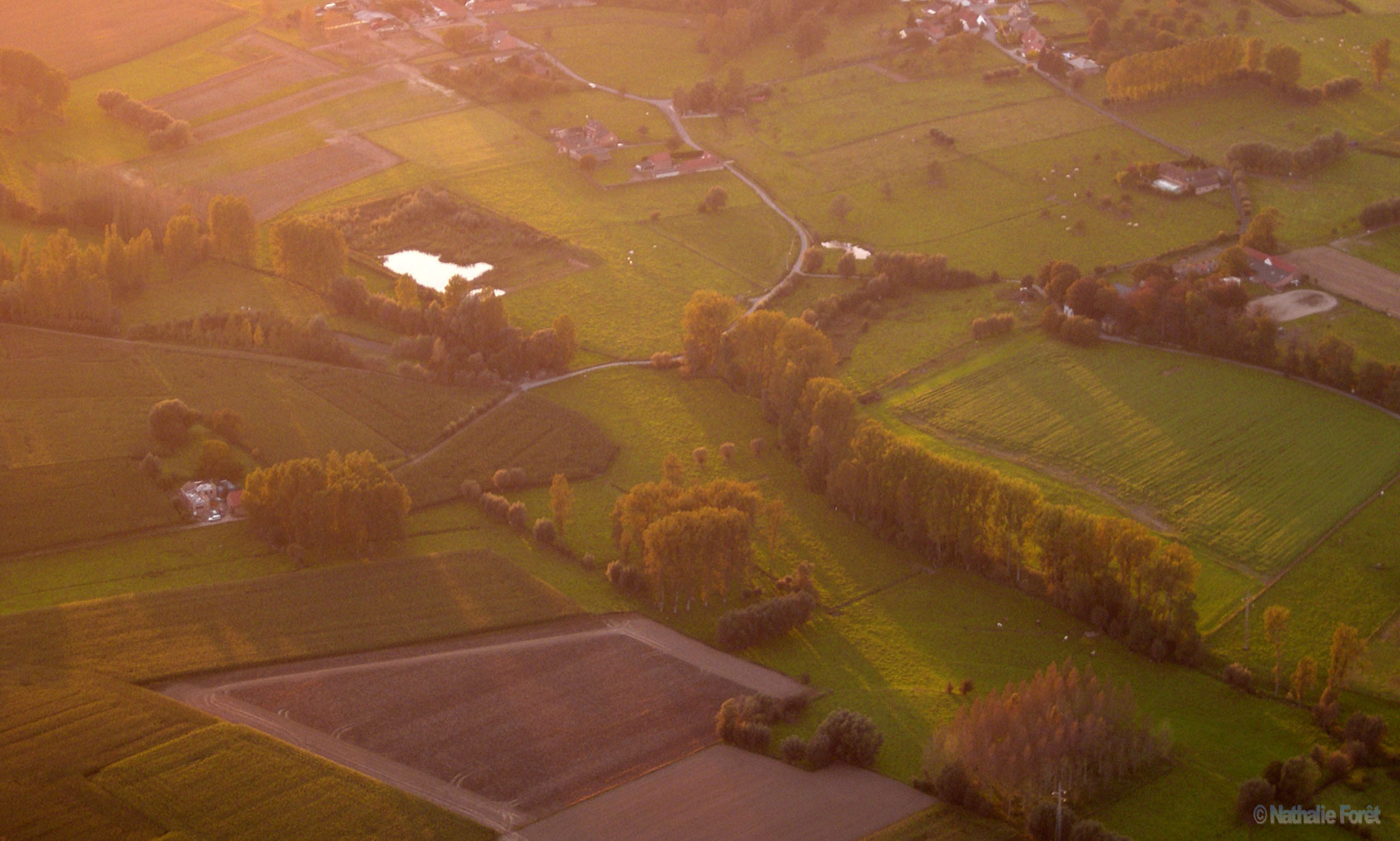 Long evening shadows