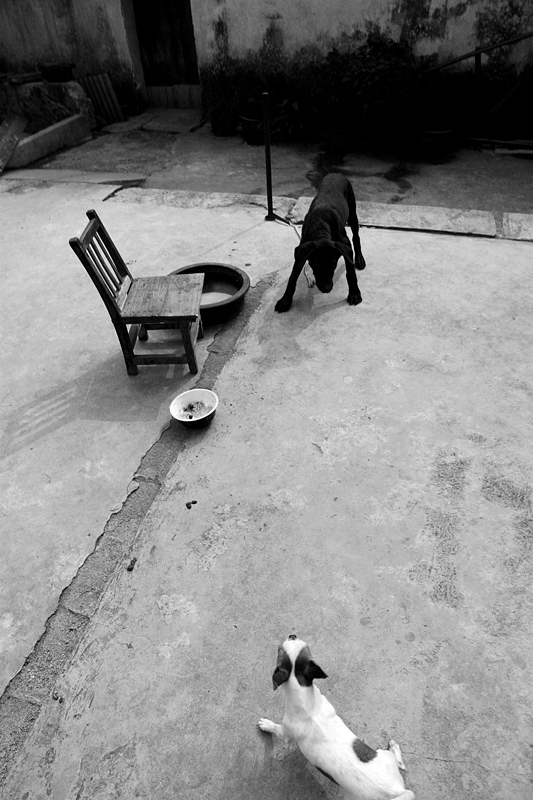 Retreat, Suzhou, China, 2004
