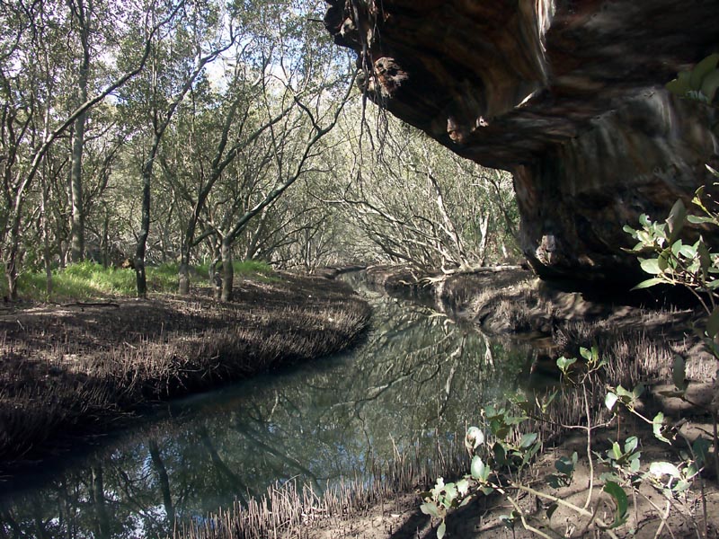 Scotts Creek