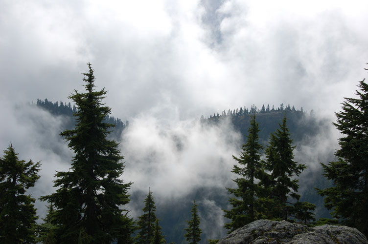 BDSC_0018.jpg