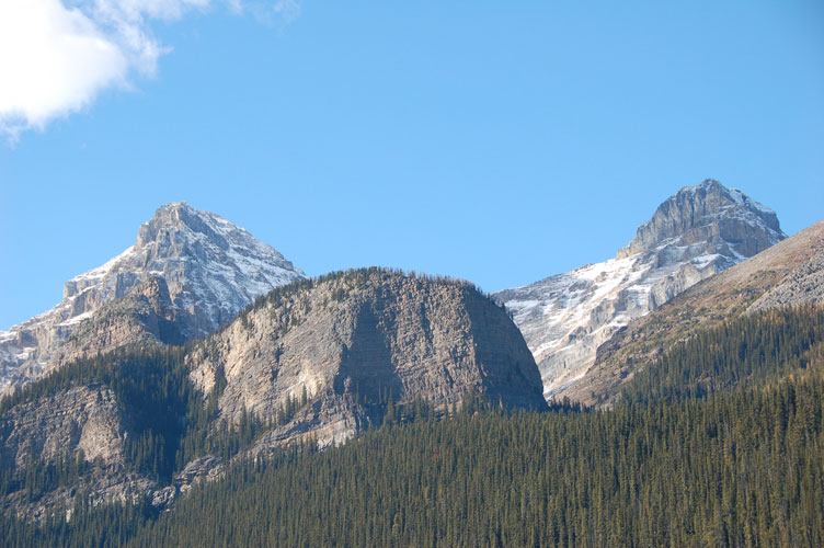 DSC_0121.jpg