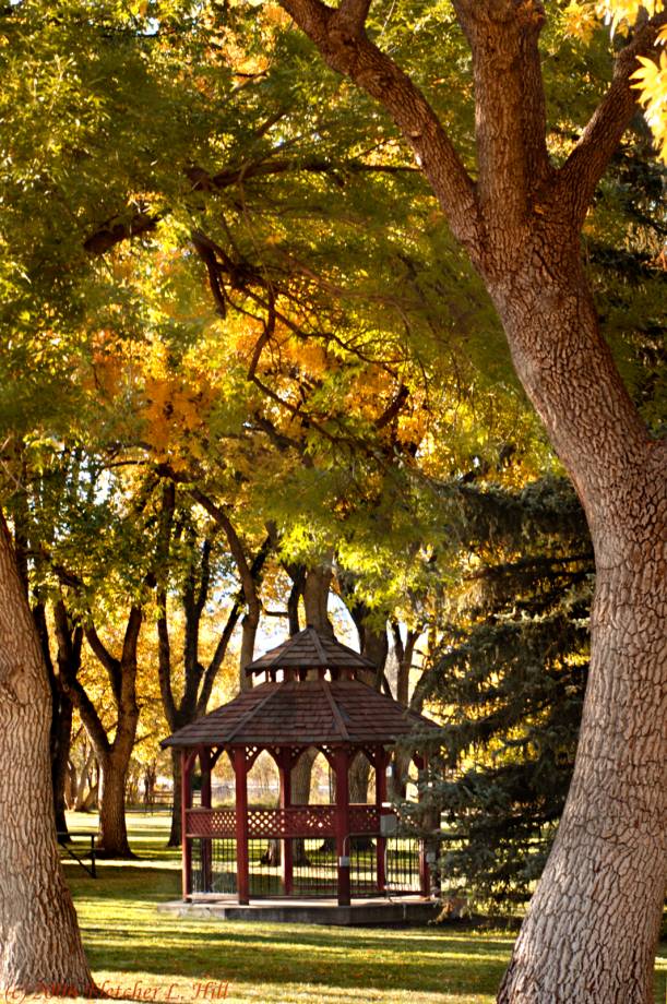 Gazebo in Memory of Reg Farber