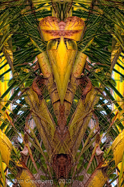 Dead Leaves, Golden Palm .. Transformed