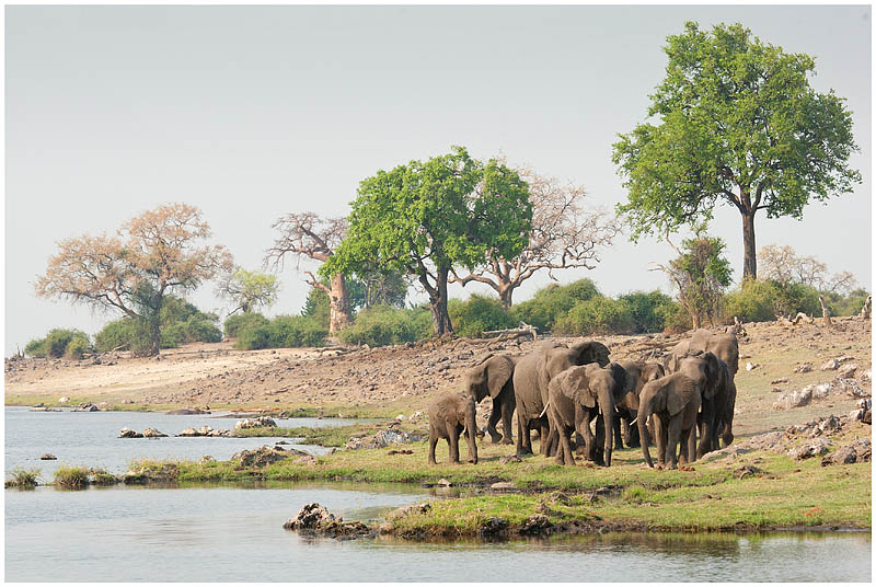 Chobe Riverfront