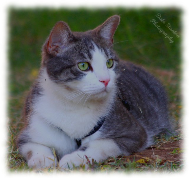 Buster - IMG_8171.JPG