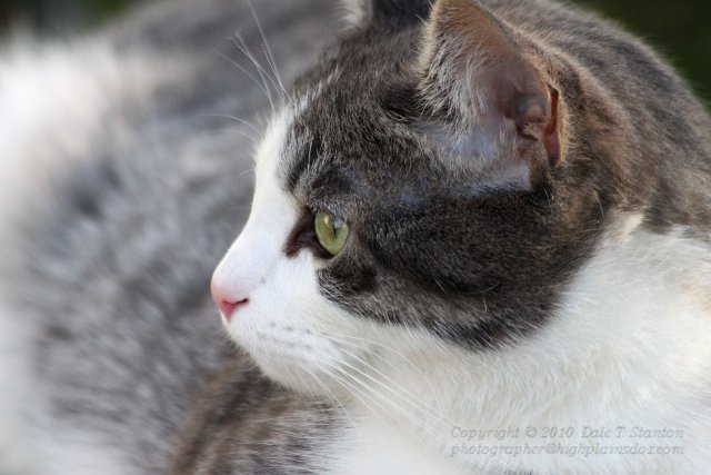 Buster - IMG_8194.JPG