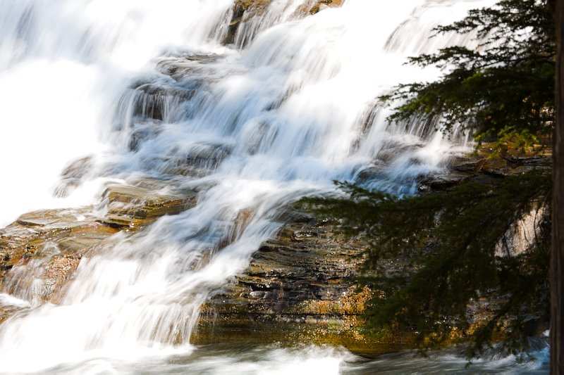 In Glacier National Park