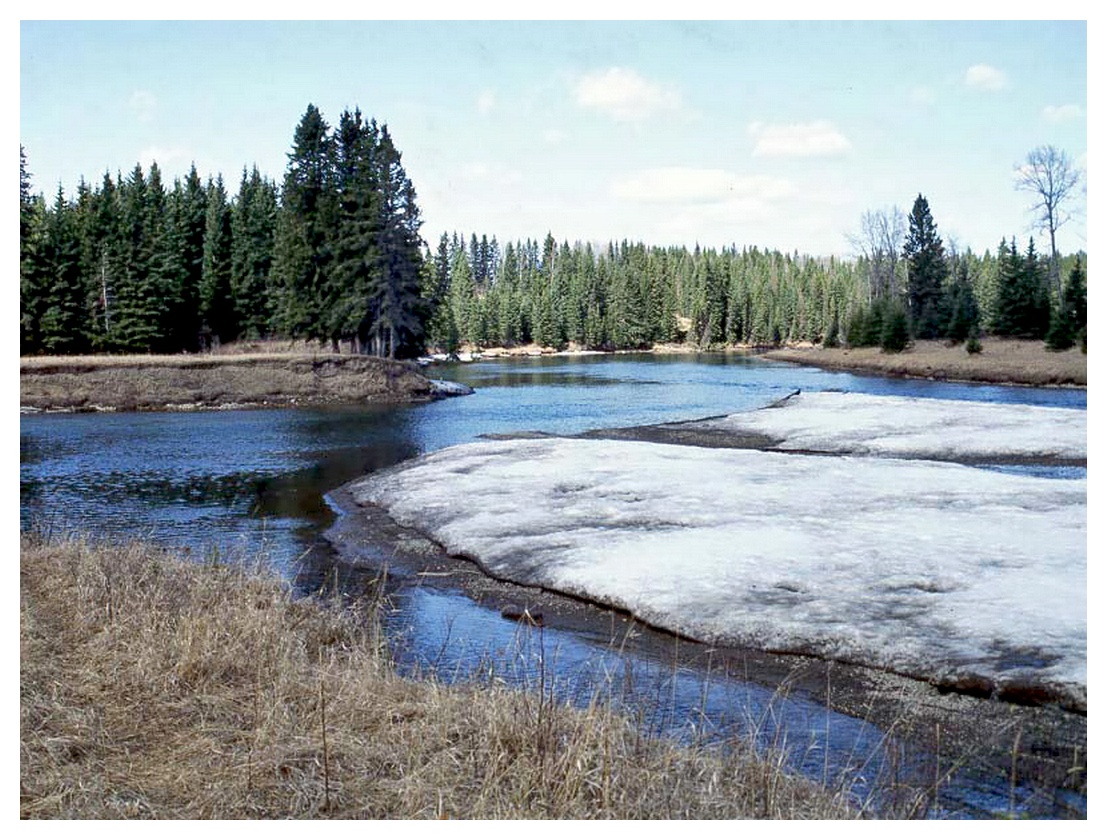Confluence of Prairie Creek and Clearwater River