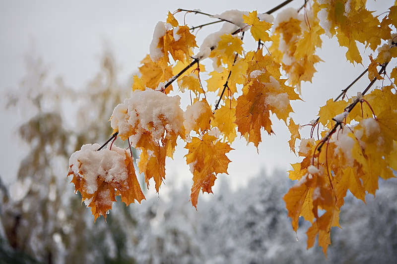 Winter breath