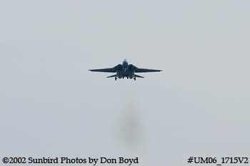 The final flight ever for USN F-14D Grumman Tomcat 164342 Felix 100 military aviation stock photo #UM06_1715-V2