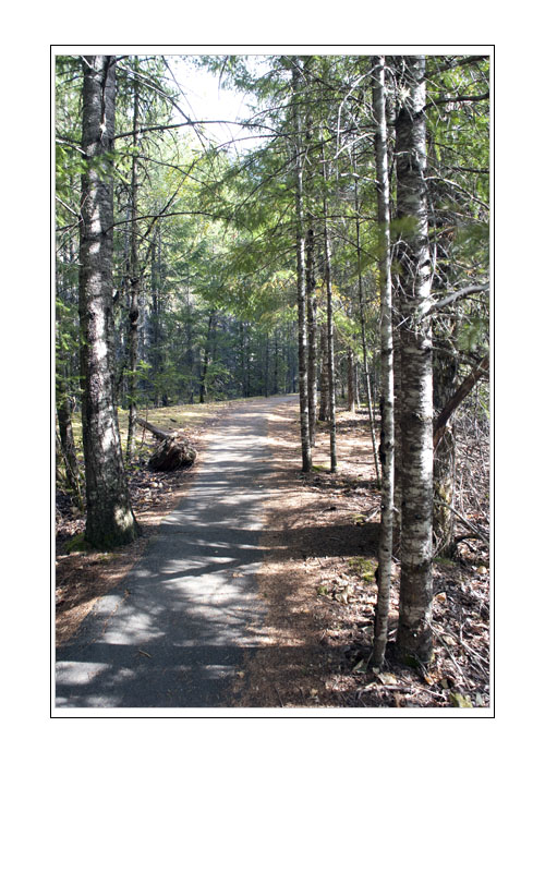 Pathway