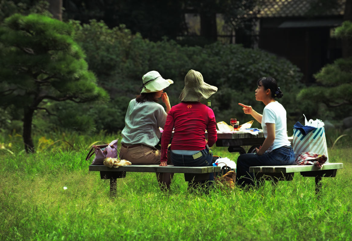 Picnicing in Tokyo